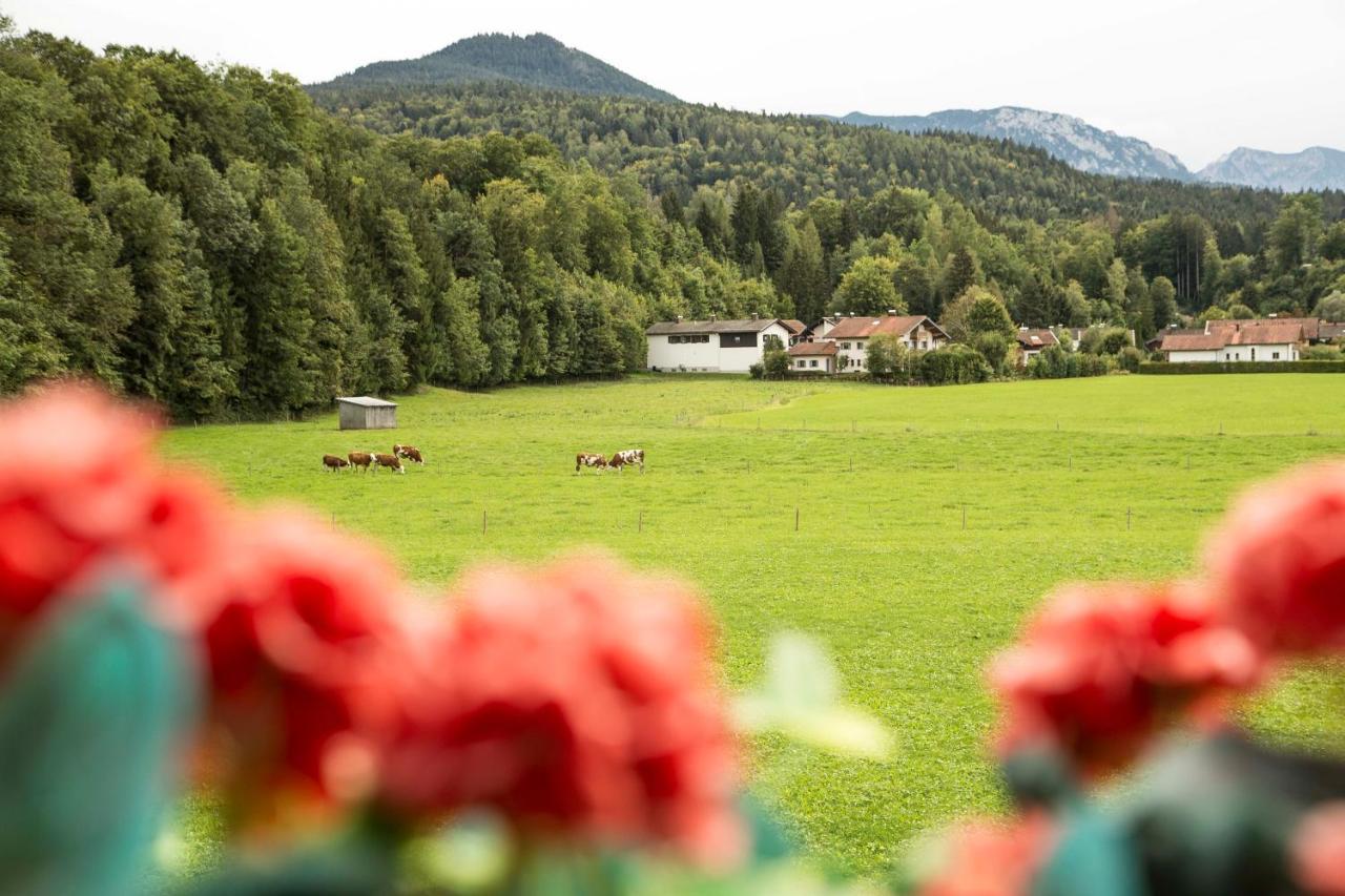 Ferienwohnungen Am Alpenrand ซีกส์ดอร์ฟ ภายนอก รูปภาพ